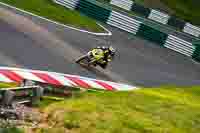 cadwell-no-limits-trackday;cadwell-park;cadwell-park-photographs;cadwell-trackday-photographs;enduro-digital-images;event-digital-images;eventdigitalimages;no-limits-trackdays;peter-wileman-photography;racing-digital-images;trackday-digital-images;trackday-photos